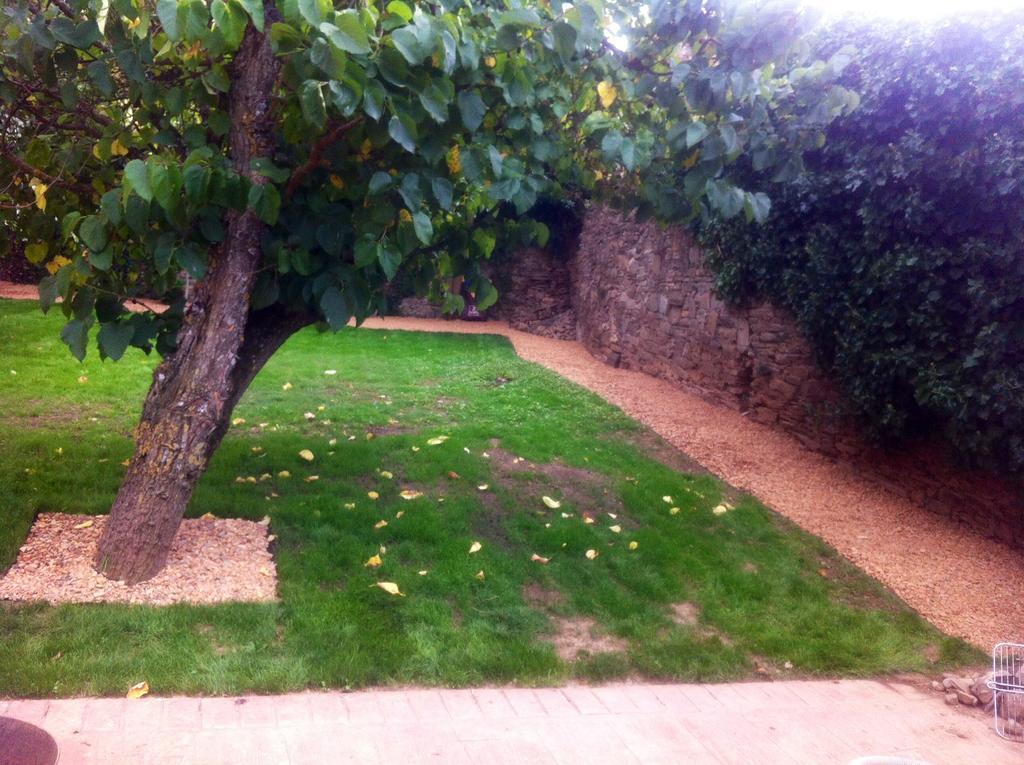 Casa Rural Pico Del Lugar Villar de los Barrios Dış mekan fotoğraf