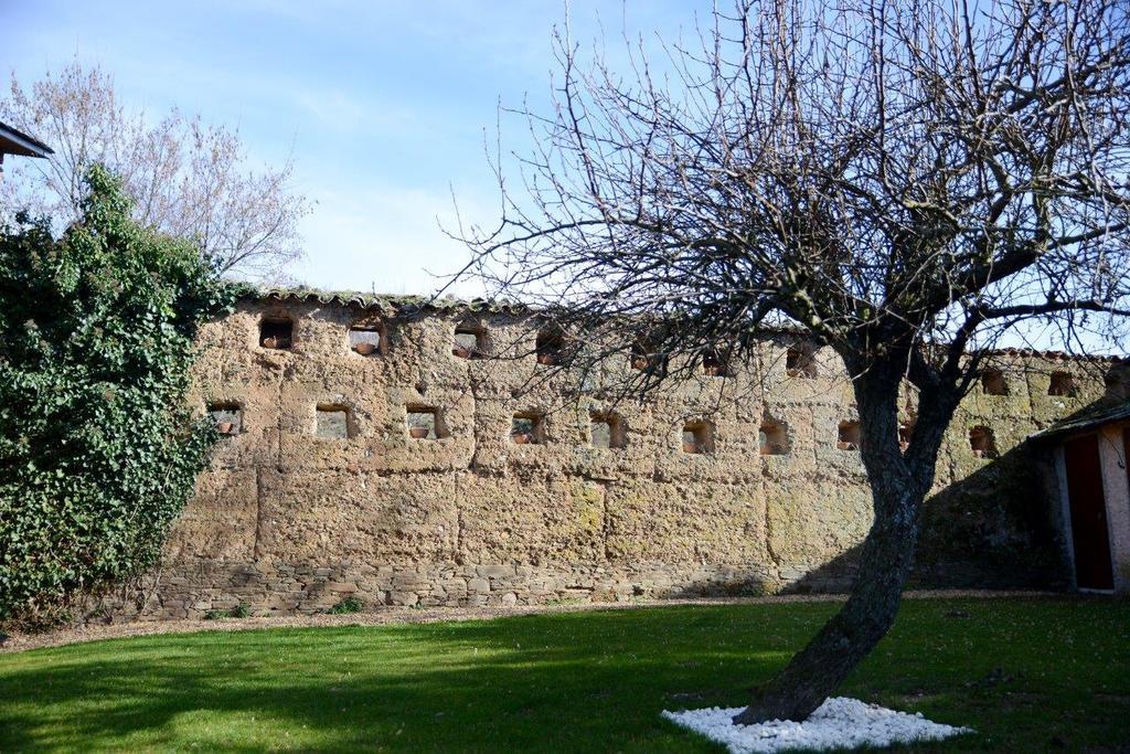 Casa Rural Pico Del Lugar Villar de los Barrios Dış mekan fotoğraf